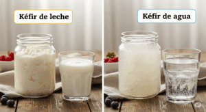 Kéfir de Leche vs Agua: ¿Cuál&hellip;